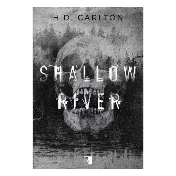 Shallow River - Outlet